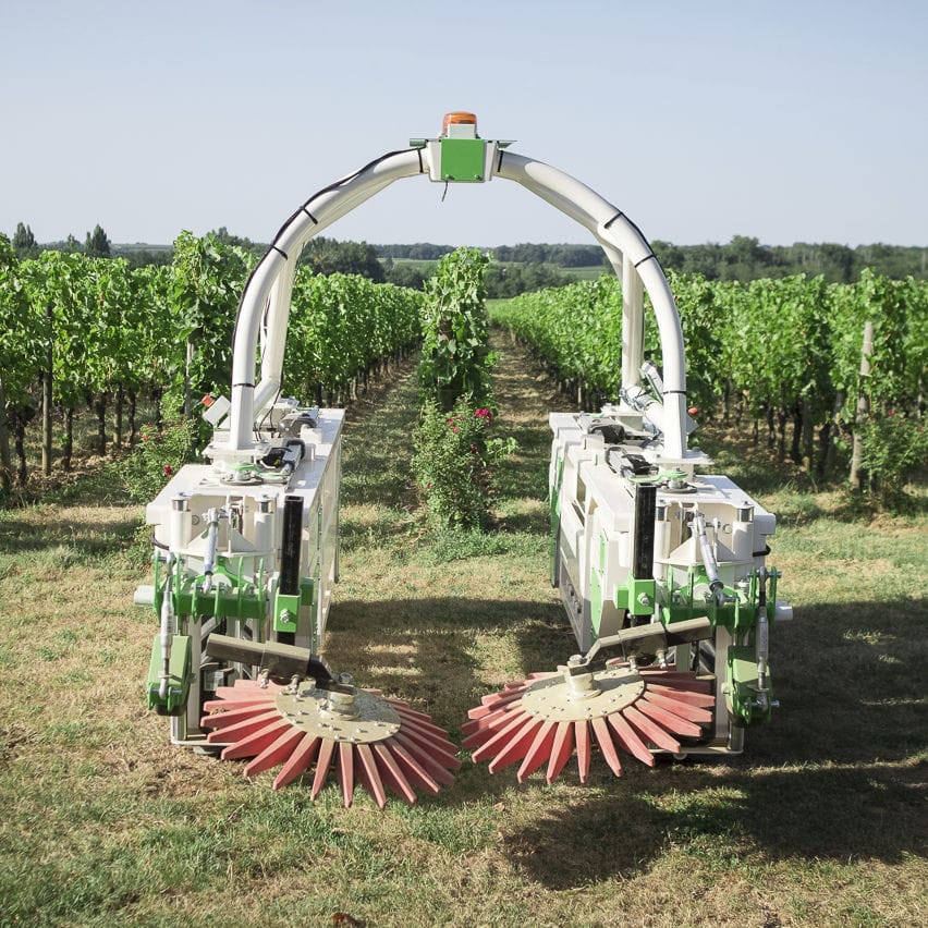 Почему в старейших виноградниках Бордо теперь работает робот