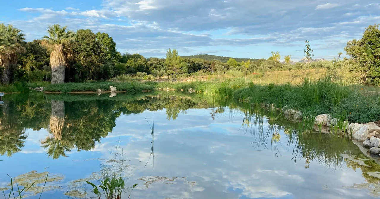 Человек, который ищет воду в провансальских холмах