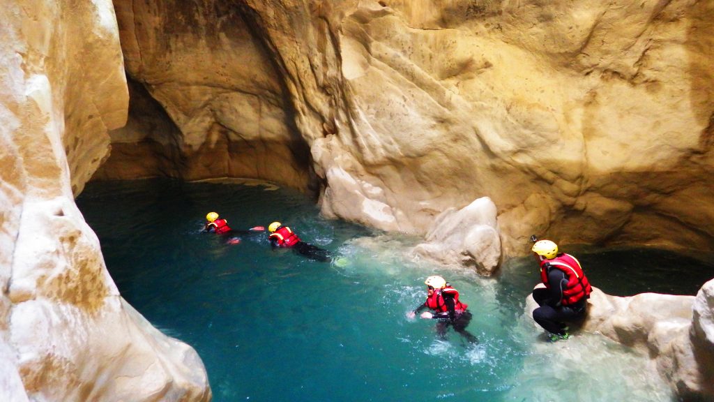 Почему грифы Вердона не могут взлететь с земли и при чём тут Стикс