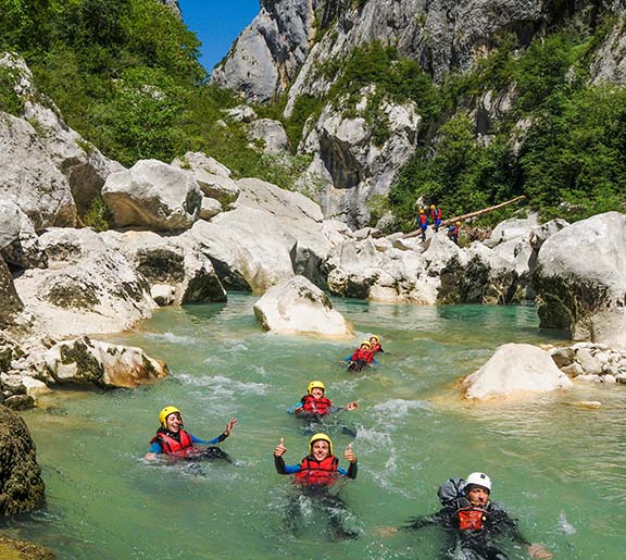 Почему грифы Вердона не могут взлететь с земли и при чём тут Стикс