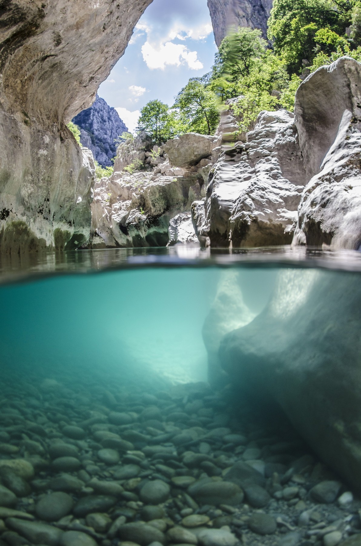 Почему грифы Вердона не могут взлететь с земли и при чём тут Стикс