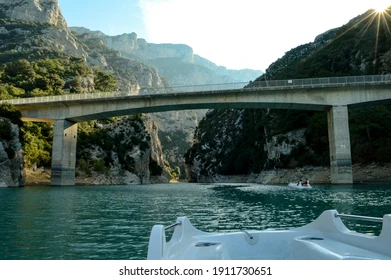 Почему грифы Вердона не могут взлететь с земли и при чём тут Стикс